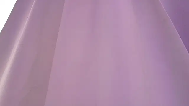 Zoelucas 웹캠 쇼