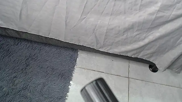 Chat +18 de Ari_kanroji ao vivo