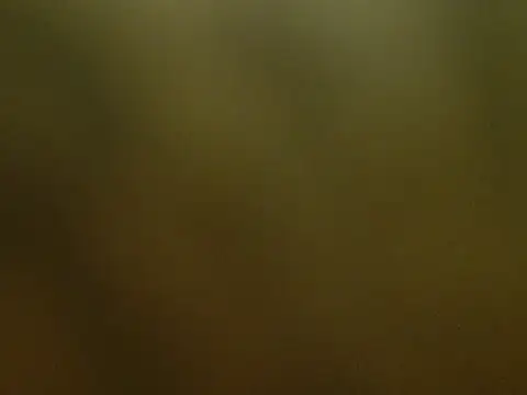 RED_DIAMOND777 现场XXX聊天
