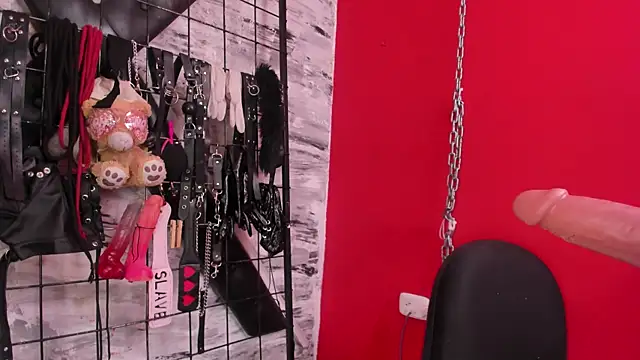 Venus_Bms_ Chat XXX in diretta