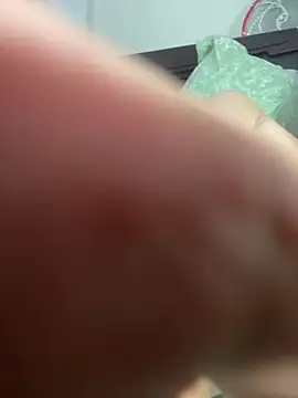 toyokio Show Webcam