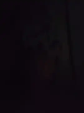 Biknight's Live XXX Chat