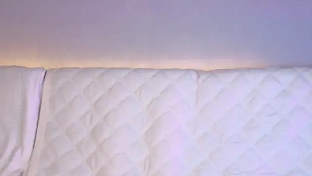 Ellijoys' Live XXX Chat
