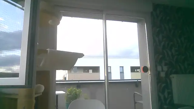 sexy007sexy live XXX chat