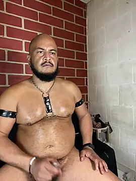 the_master_foal_ 라이브 XXX 채팅