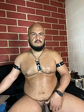 Chatroom XXX en direct de the_master_foal_