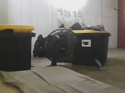 Pertunjukan Kamera Web Prikev38452