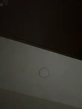 17HKJJ Webcam show