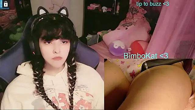 BimboCat 라이브 XXX 채팅