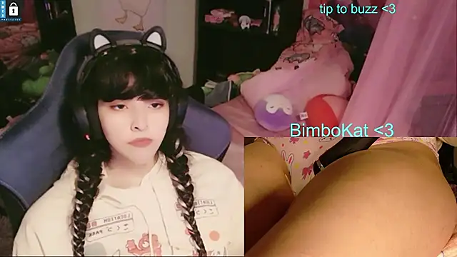 BimboCat Chat XXX live