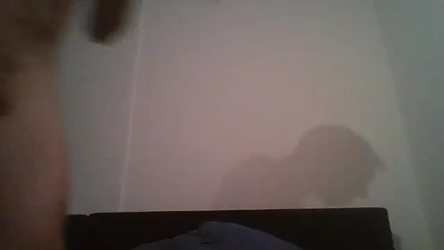 LucaDeComo webcam show