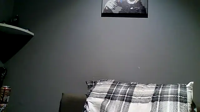 Wankingking88's Webcam Show