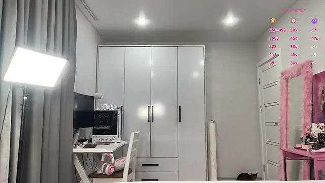 webcat 라이브 XXX 채팅