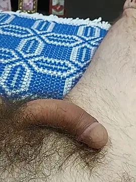 عرض كام paugrossinmlk