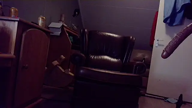 Gigolobigcock24cm Webcam Show