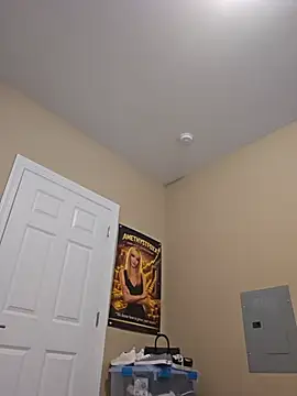 AmethystFoxx Chat XXX live