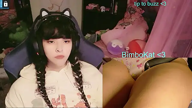 BimboCat 라이브 XXX 채팅