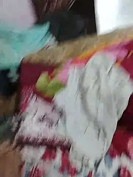 Bharat30 网络视讯表演