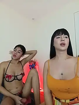 Czat XXX na żywo – DominnantTransqueen