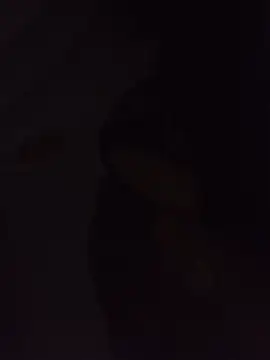 Sexxoophoneのウェブカメラショー