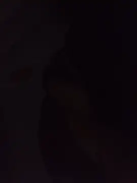 Sexxoophone's Webcam Show