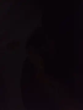 Sexxoophoneのウェブカメラショー