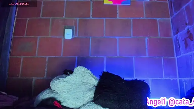 Chat +18 de Cata-angel ao vivo