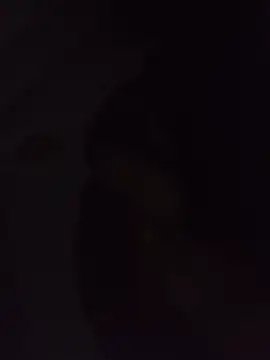 Sexxoophone Show Webcam