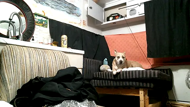 SexyB214's Live XXX Chat