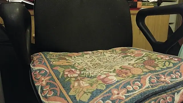 curiosillo83 live XXX chat