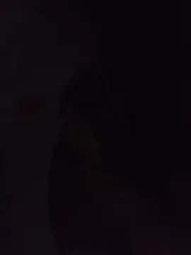 Sexxoophone: διαδικτυακό σόου στην κάμερα