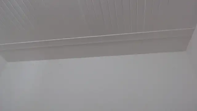 Chat +18 de ElizabethMiler ao vivo