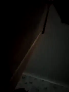mrx88 webkamerás műsora