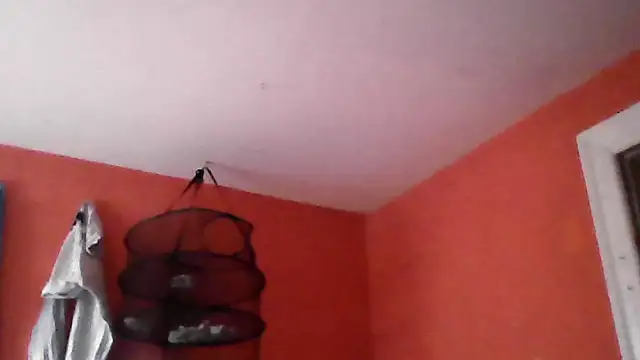 dreeday 网络视讯表演