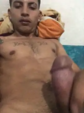 Show Webcam de Vergonnm
