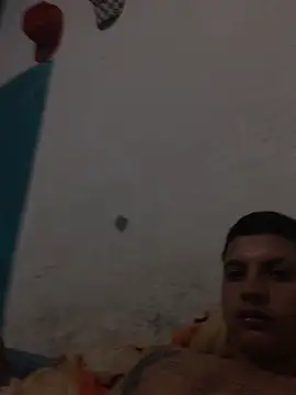 Show webcam de Vergonnm
