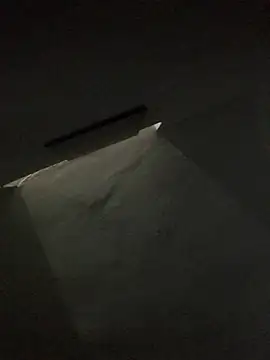 criss_zurin Webbikameraesitys