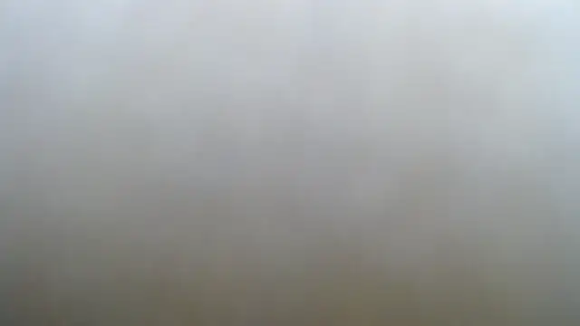 elki_ 라이브 XXX 채팅