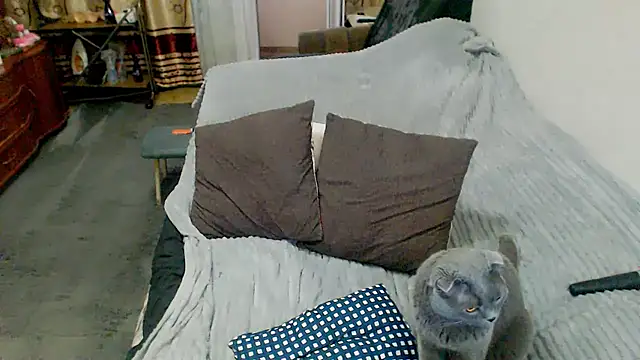 sex2 Adlı Modelin Canlı XXX Sohbeti