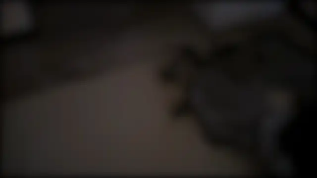 Even_Vrot élő XXX-chatje