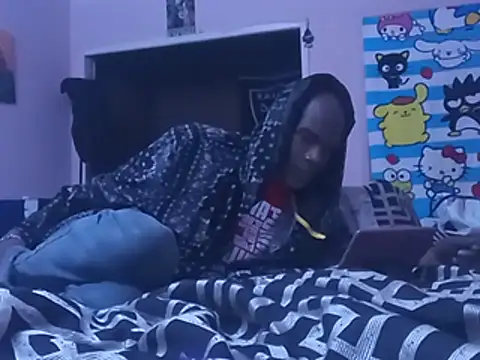 Blkstylionn Webbikameraesitys