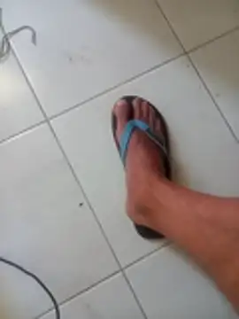 Chat +18 de ElegantSensual ao vivo