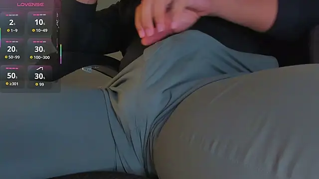 BulgeArt 라이브 XXX 채팅