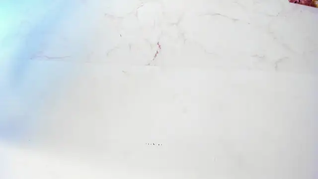 sofiaa_cardenas Obrolan Langsung XXX