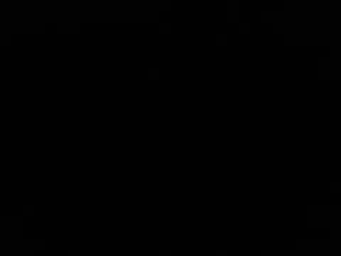 Show webcam de Blkstylion