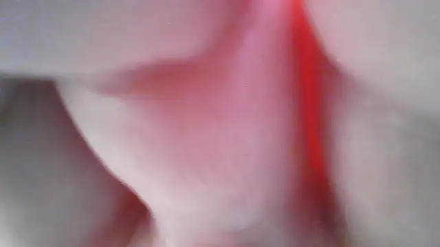 Elizabeth_Meow élő XXX-chatje