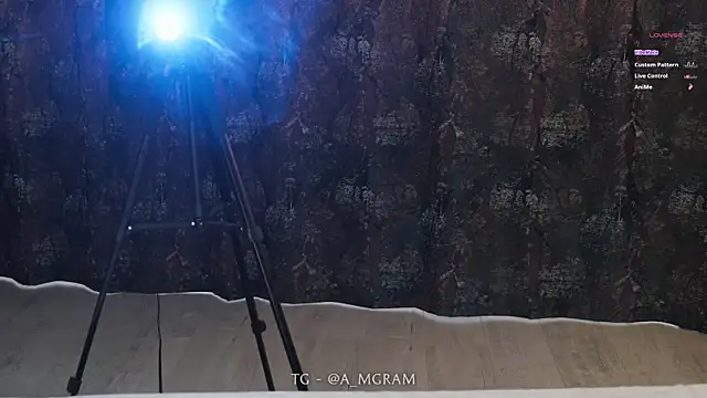 Živý XXX chat disco_elysium