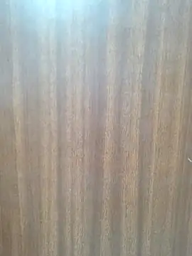 Cute_Kavya7 Adlı Modelin Canlı XXX Sohbeti