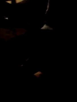 FeloBad Live XXX Chat
