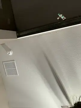 laninasub লাইভ XXX চ্যাট